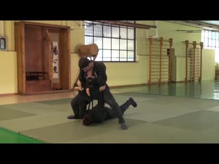 hojojutsuobijutsu