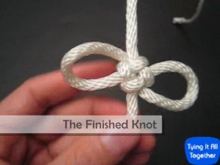 winged cross knot