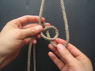 double coin vs carrick knot